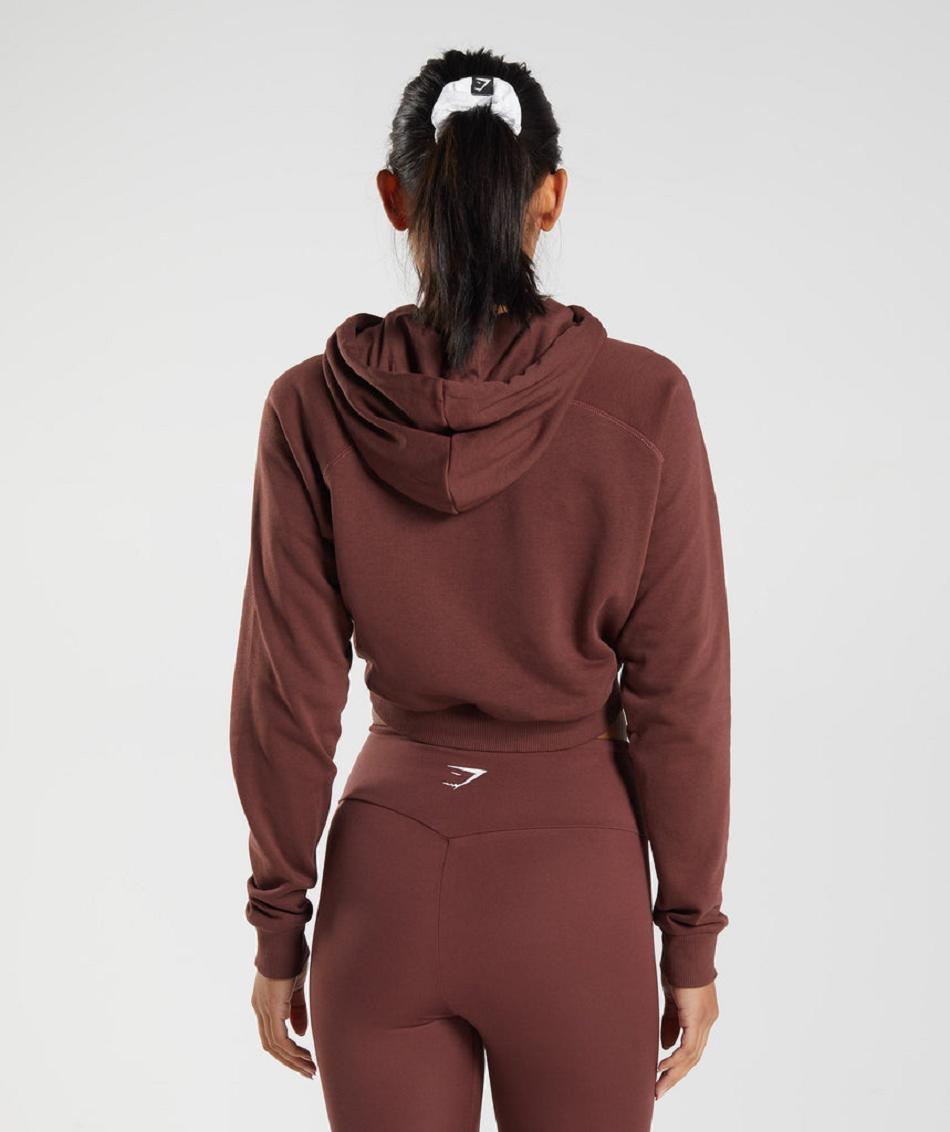 Bluzy Z Kapturem Damskie Gymshark Treningowe Cropped Różowe Brązowe | PL 2741FDN